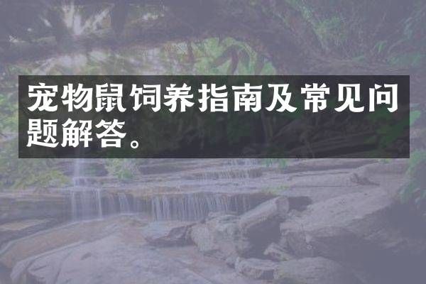 宠物鼠饲养指南及常见问题解答。