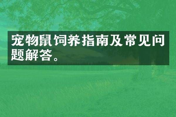 宠物鼠饲养指南及常见问题解答。