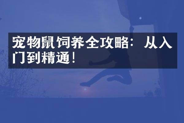 宠物鼠饲养全攻略：从入门到精通！
