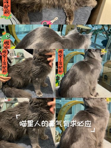 开工大吉之靓仔变形计｜一年之初改天换面
