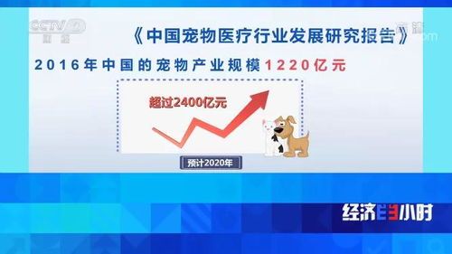 宠物药网购买指南？国内最全宠物药品购买攻略
