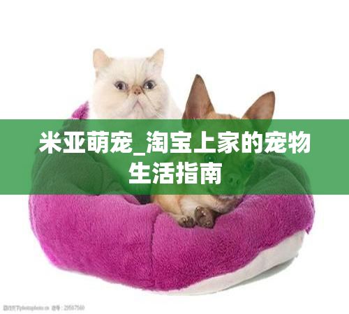 米亚萌宠_淘宝上家的宠物生活指南