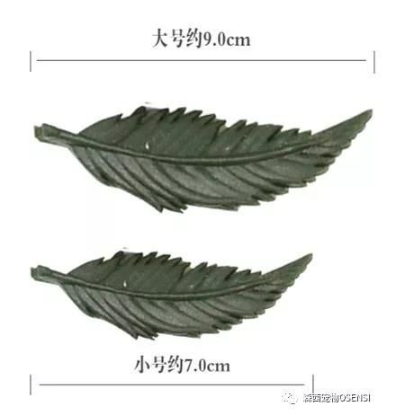森西系列狗狗小零食正式上市