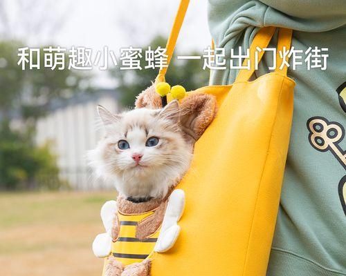 营救狗狗，这样做最正确（掌握这些技巧）