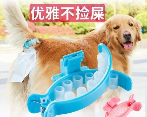 营救狗狗，这样做最正确（掌握这些技巧）