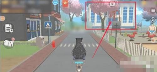 养了个猫无广告版图片5