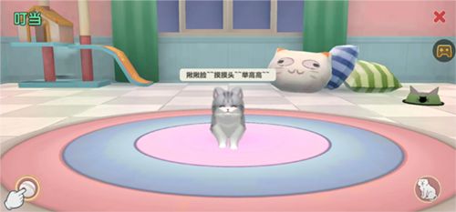 养了个猫无广告版图片8
