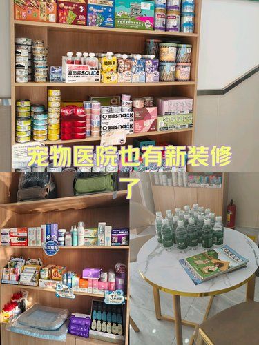 健康先行～猫咪护理