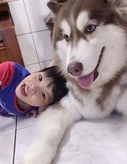 如何在家里陪伴你的宠物狗玩耍（为你的狗狗提供有趣的活动和互动）