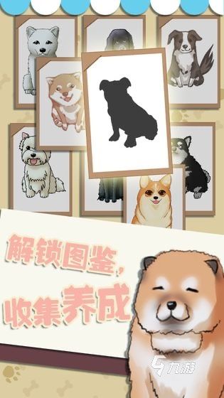 和狗玩的游戏有哪些2025 和小狗玩的游戏推荐