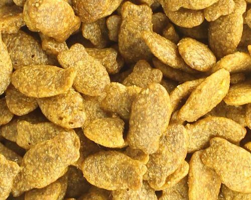 自制猫粮鱼块配方（以天然食材为基础，营养均衡、口感适口）