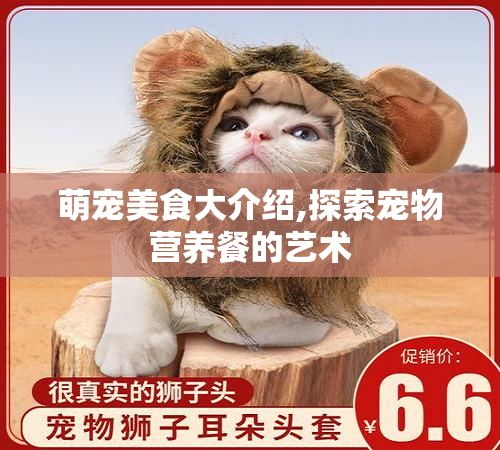 萌宠美食大介绍,探索宠物营养餐的艺术