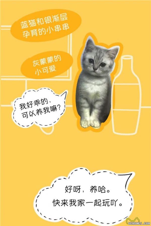 为了养好宠物，你看了哪些书？/做出了哪些努力？