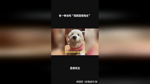 有一种冷叫“妈妈觉得你冷”