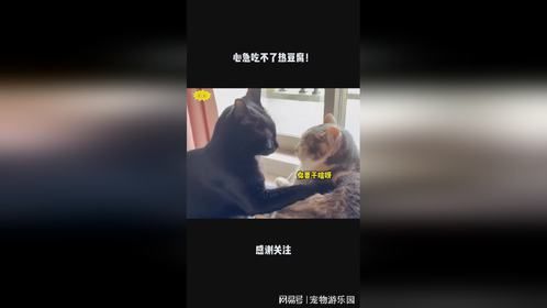 心急吃不了热豆腐！