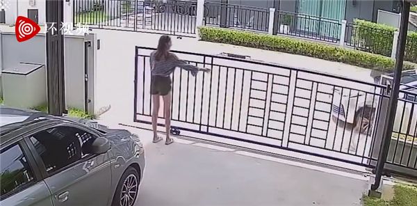 泰国一宠物乌龟反复推开大门逃跑 女主人：惯犯了