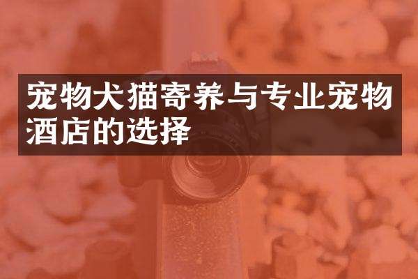 宠物犬猫寄养与专业宠物酒店的选择