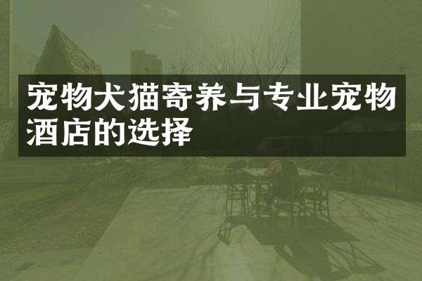 宠物犬猫寄养与专业宠物酒店的选择