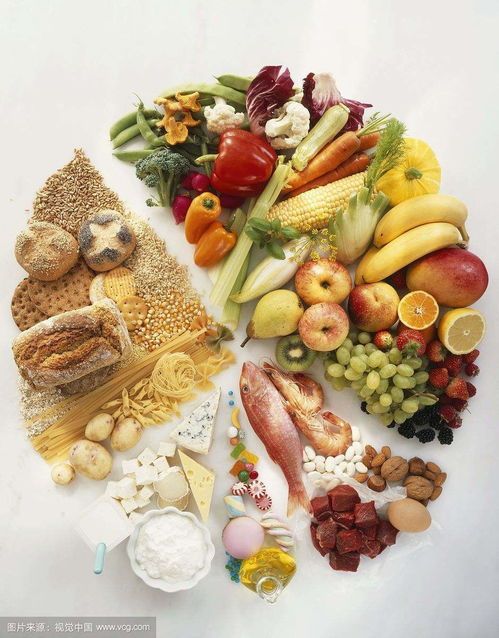 产后母狗营养餐，选对食物很重要！