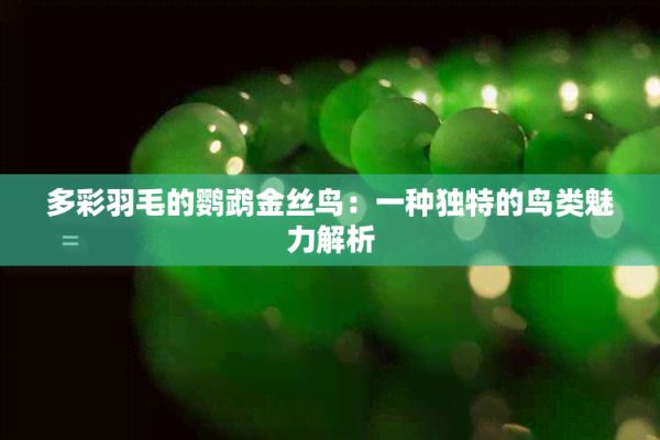 多彩羽毛的鹦鹉金丝鸟：一种独特的鸟类魅力解析