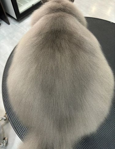 100多洗成这样，值么