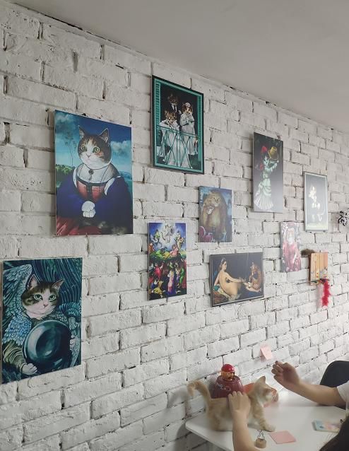 猫奴必去！超治愈的猫咪咖啡馆，能消磨你一整个午后！