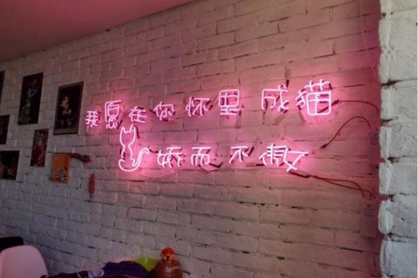 猫奴必去！超治愈的猫咪咖啡馆，能消磨你一整个午后！