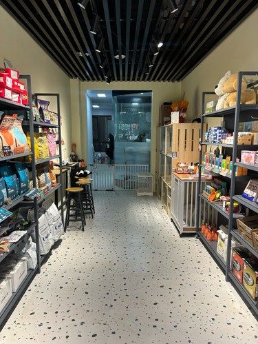 宠物店新成员，超可爱哦！[害羞]