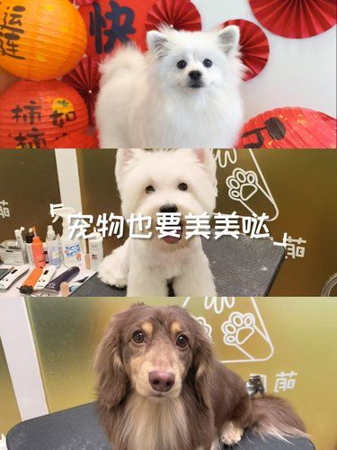 免费升级赛洗活动火热进行中
