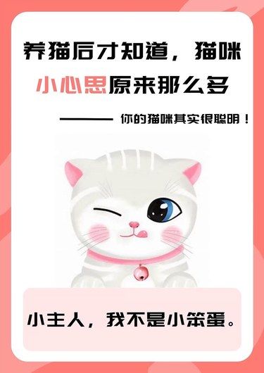 ‍【爱喵小课堂】
