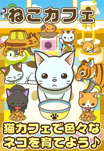 猫咪咖啡馆 下载