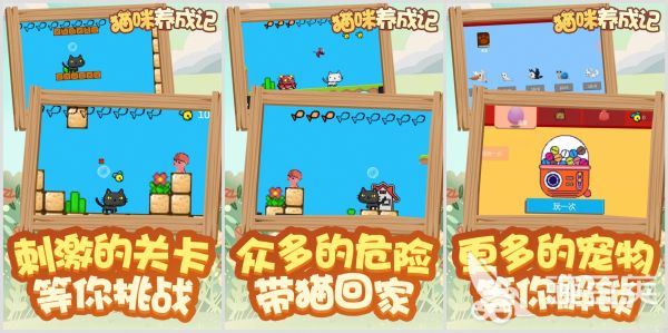 2022非常好玩的养猫游戏 养猫游戏下载推荐