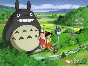“龙猫,萌宠界的治愈系小天使!”