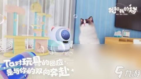 我和我的猫下载地址分享2023 我和我的猫手游免费下载