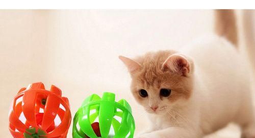 小猫最爱的玩具（宠物猫如何选择适合自己的玩具）