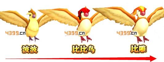 口袋妖怪3D比比鸟进化