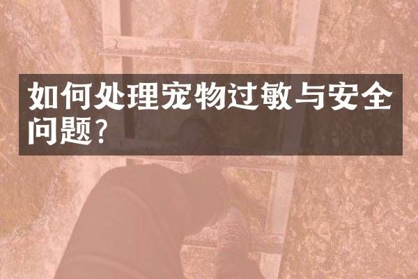如何处理宠物过敏与安全问题？