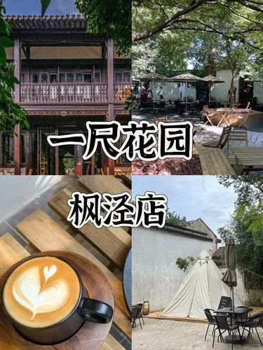 中式庭院里的悠然时光，一尺花园枫泾店