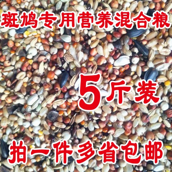 淘淘淘要便宜鸟食