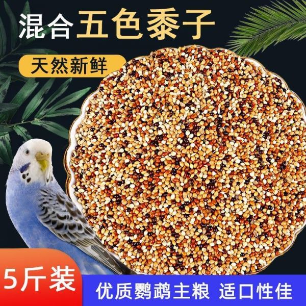 10斤大容量无惧挑食zmt