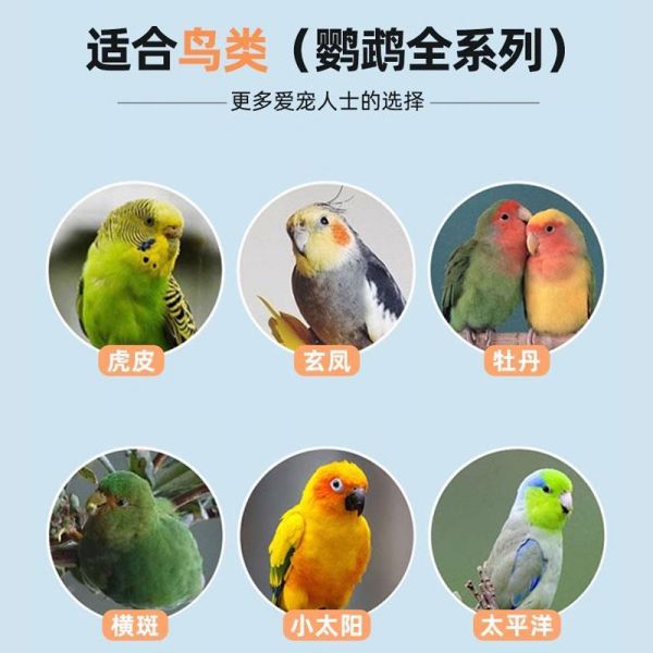 鸟食只需66.8元