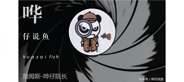 宠物鱼身上出现神秘黑斑，对鱼有没有伤害？答案可能让你大跌眼镜
