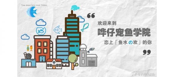 我家的宠物鱼为什么永远那么瘦？揭秘鱼缸里的小秘密系列：第一集
