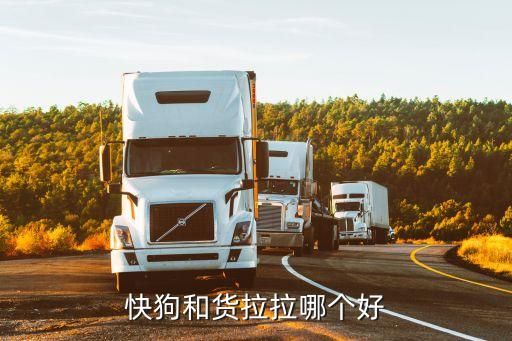 快狗和货拉拉哪个好