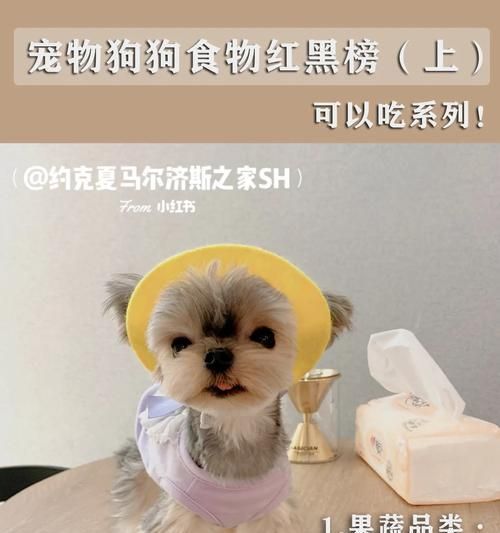 狗狗的饮食需求（了解狗狗每天需要的食物量，给它健康的生活）