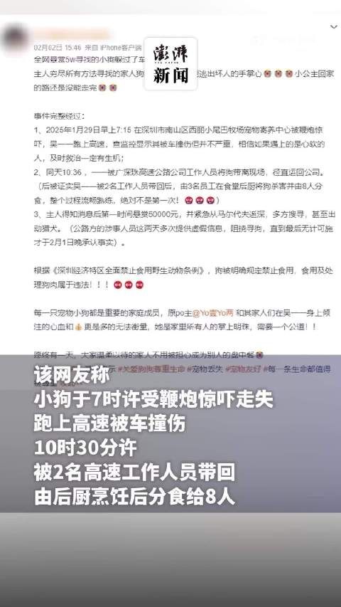 悬赏5万的走失宠物狗遭烹饪分食？高速公司：发现时已被撞死，会处理涉事人员