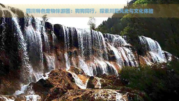 四川特色宠物伴游团：狗狗同行，探索川蜀风光与文化体验