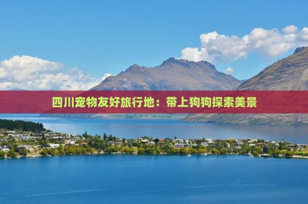 四川宠物友好旅行地：带上狗狗探索美景