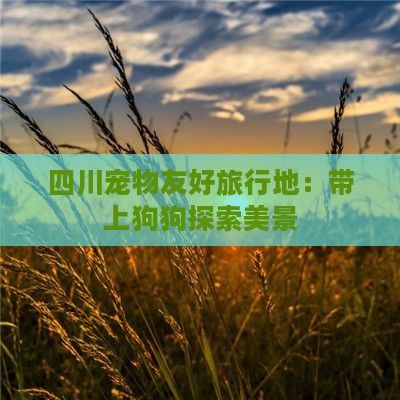 四川宠物友好旅行地：带上狗狗探索美景