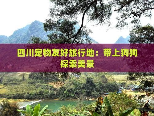 四川宠物友好旅行地：带上狗狗探索美景